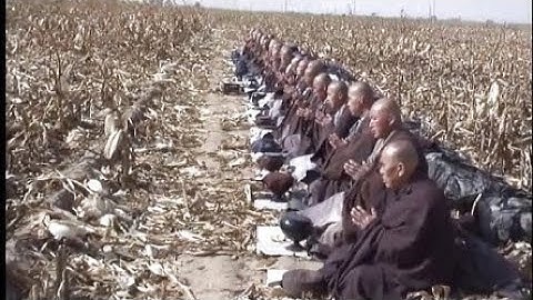 感人纪录片《古道清凉》——辽宁大悲寺僧团托钵行脚纪实 - 天天要闻