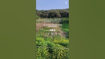 القرآنالكريم.تلاوة هادئة #استغفرالله #اكسبلور #لايك #راحة_نفسية #سبحان الله #تيك_توك #استغفار