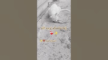 #subscribe #like #اكسبلور #القرآن_الكريم #ياسر_الدوسري #تلاوة_خاشعة #اكسبلور #دويتو #قرآن #لايك