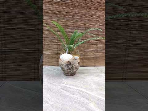 Boston Fern with Seashells Arrangement🐚 #bostonfern #seashell #homedecor #ideas