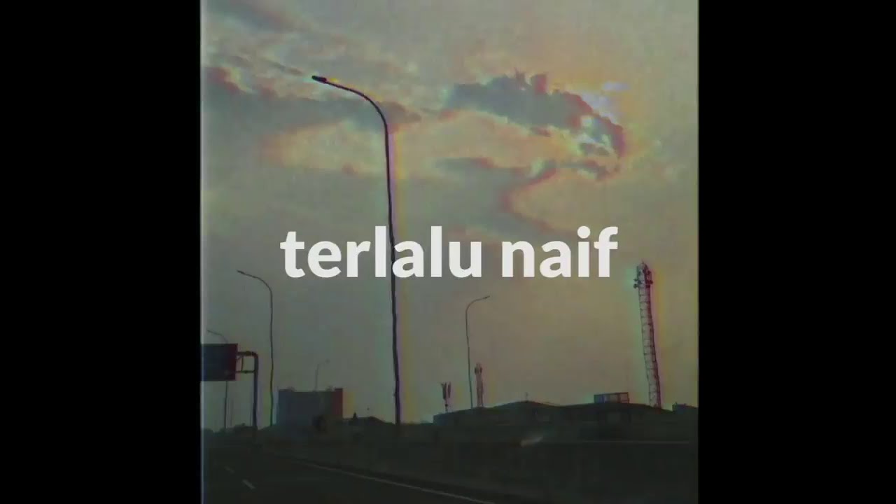 ⁣Terlalu Naif - Literasi Kita