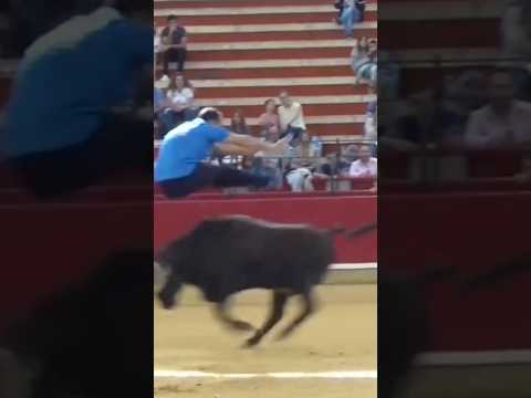 😍💨 Saltó el TORO a Pies Juntos!
