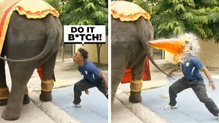 Streamers Doing Dumbest Things Ever