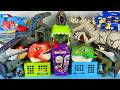 ASMR Jurassic World Unboxing Colorful Dinosaur T-rex Indoraptor Mosasaurus Allosaurus Triceratops