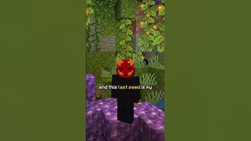 Thumbnail of Minecraft's RAREST Seeds (Part 1)