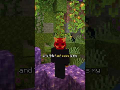 Minecraft's RAREST Seeds
