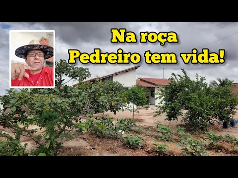 VIDA DE PEDREIRO NA ROÇA, UMA VERDADEIRA TERAPIA! #PARTE03