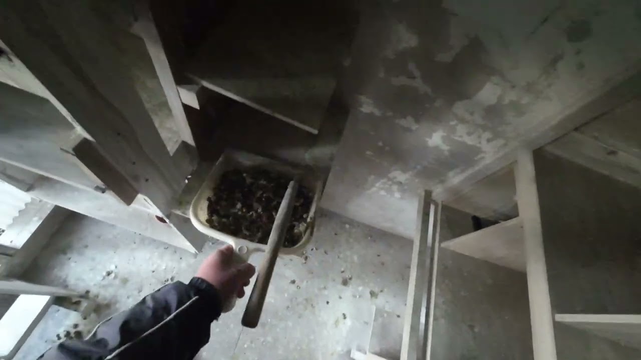 持ち寄り延期になりました