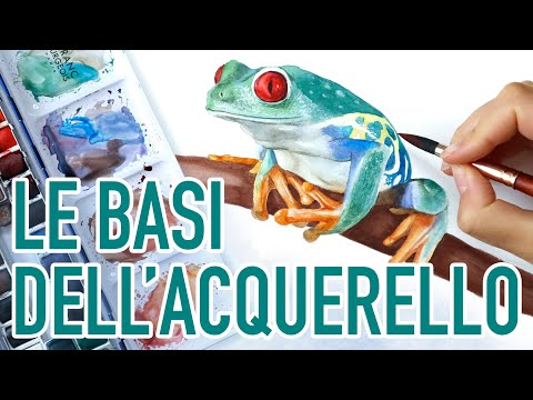 Video: Il colore del poster e l'acquarello sono gli stessi?