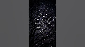 سورة فاطر #استمعوا_وانصتوا_لعلكم_ترحمون #quran #قران_كريم