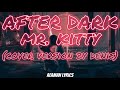 Mr. Kitty - After Dark (cover version by Denis) | lyrics