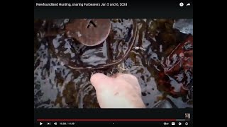 Newfoundland Hunting, snaring Furbearers Jan 5 and 6, 2024