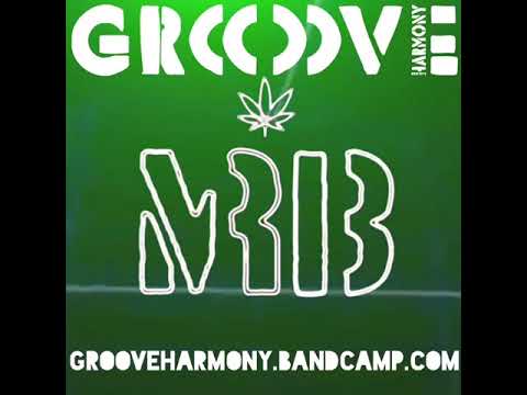 Mr.B - Mega Dub Mix [ Chapter One ] [ Trippy Visuals ]