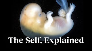 The science of the self  explained by a biologist | Michael Levin