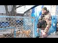 Поліцейські та волонтери рятують тварин на лінії фронту під Мар’їнкою
