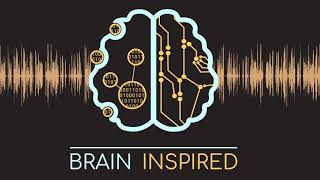 BI NMA 06: Advancing Neuro Deep Learning Panel