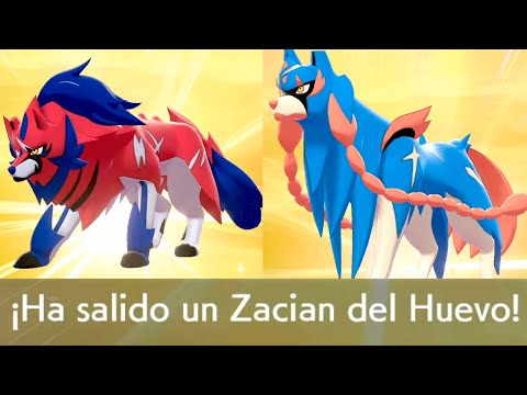 I GOT the LEGENDARIES from an EGG!! Is it possible?? in Pokemon SWORD and SHIELD