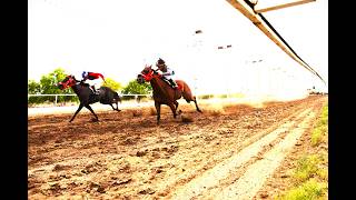 Carreras de Caballos del dia 12 de Julio del año 2026 en el Hipódromo de Hermosillo