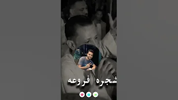 القرايب زرع خايب اسمع ابداع عمار ابو يحيي Tik Tok ياسر رشاد جديد اكسبلور كف صعيدي تصميمي 