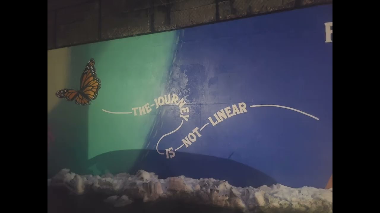 Soul Evolution & Earth School: Curiosity & Growth