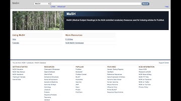Building a MeSH Search in PubMed