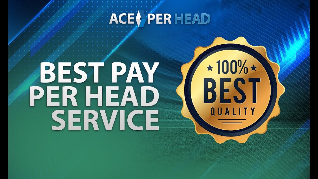 Best Pay Per Head Service | Start a Bookie Business (Easy Setup) | Ace Per Head - YouTube