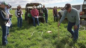 How to use a grazing stick to estimate forage yield in pasture