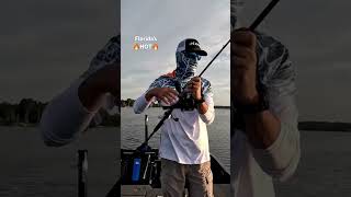 It’s too HOT in Florida! #bassfishing #fishing #florida