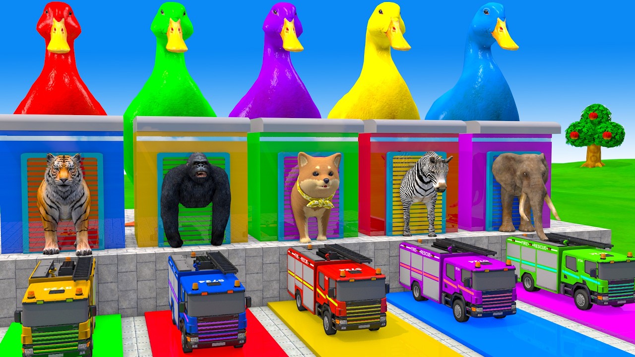 Long Slide Game With Cow Elephant Gorilla Hippopotamus Tiger - 3d Animal Game - Funny 3d Animals