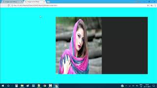 Celebrity Css Image Hover Effects Slide Image On Hover 2 Wealth