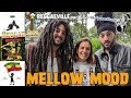 Capture de la vidéo Mellow Mood @ Wha' Gwaan Munchy?!? #68 [August 2022]