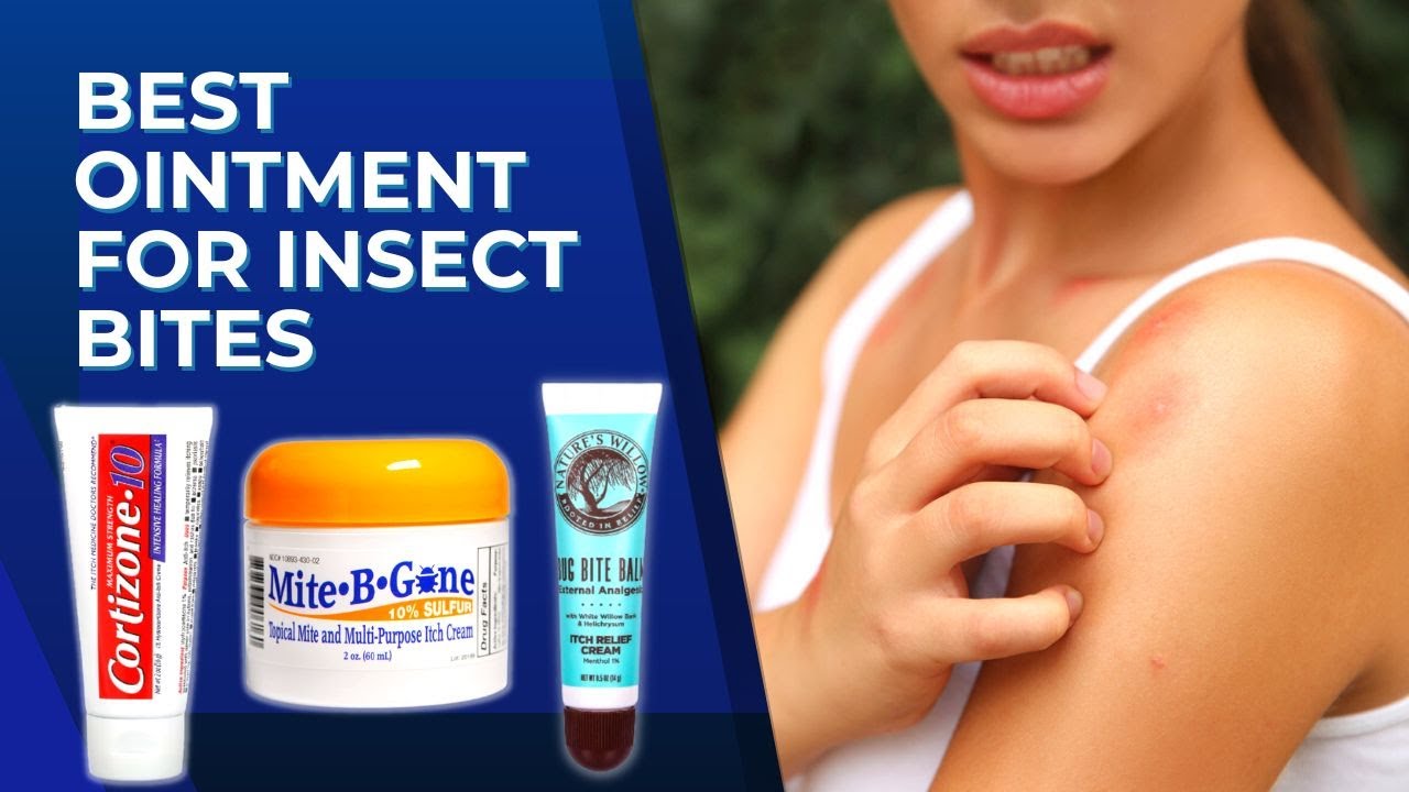 Best Ointment For Insect Bites (Insect Bite Swelling Treatment) Top