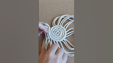 DIY macrame seashell, summer crafts                #short