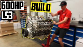 416' LS3 Stroker Full Engine Assembly! (Part 2) by That Engine Guy 8,863 views 9 months ago 10 minutes, 2 seconds