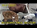 BUXORO MOL BOZOR. БУХОРО МОЛ БОЗОР. 10.01.2021г.