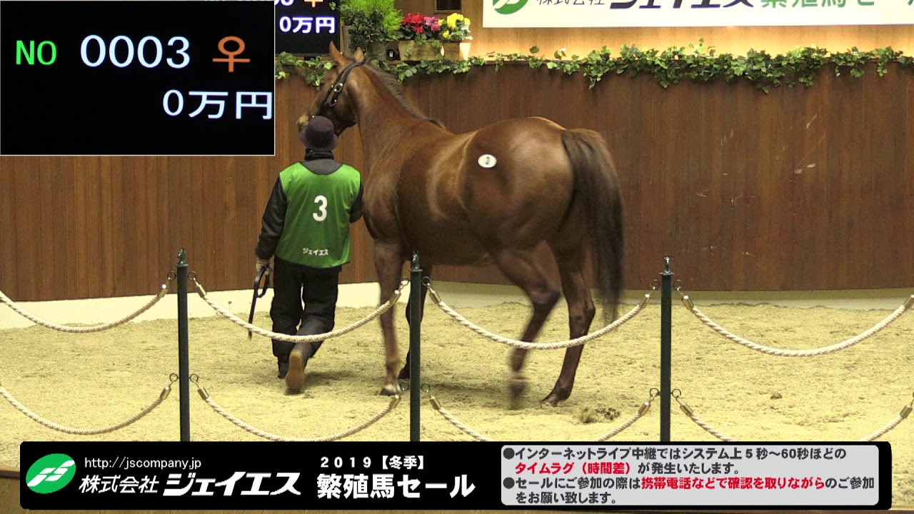 株式会社ジェイエス2019【冬季】繁殖馬セールHD