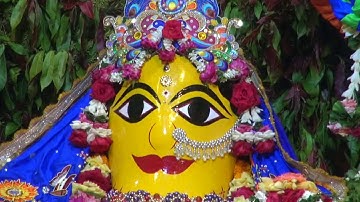 Lord Balaram Appearance Day  Darshan