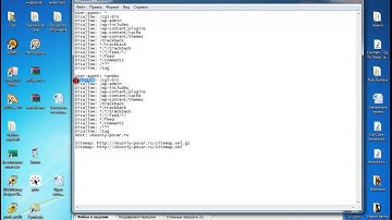 Как установить файл robots txt на wordpress видео урок № 7