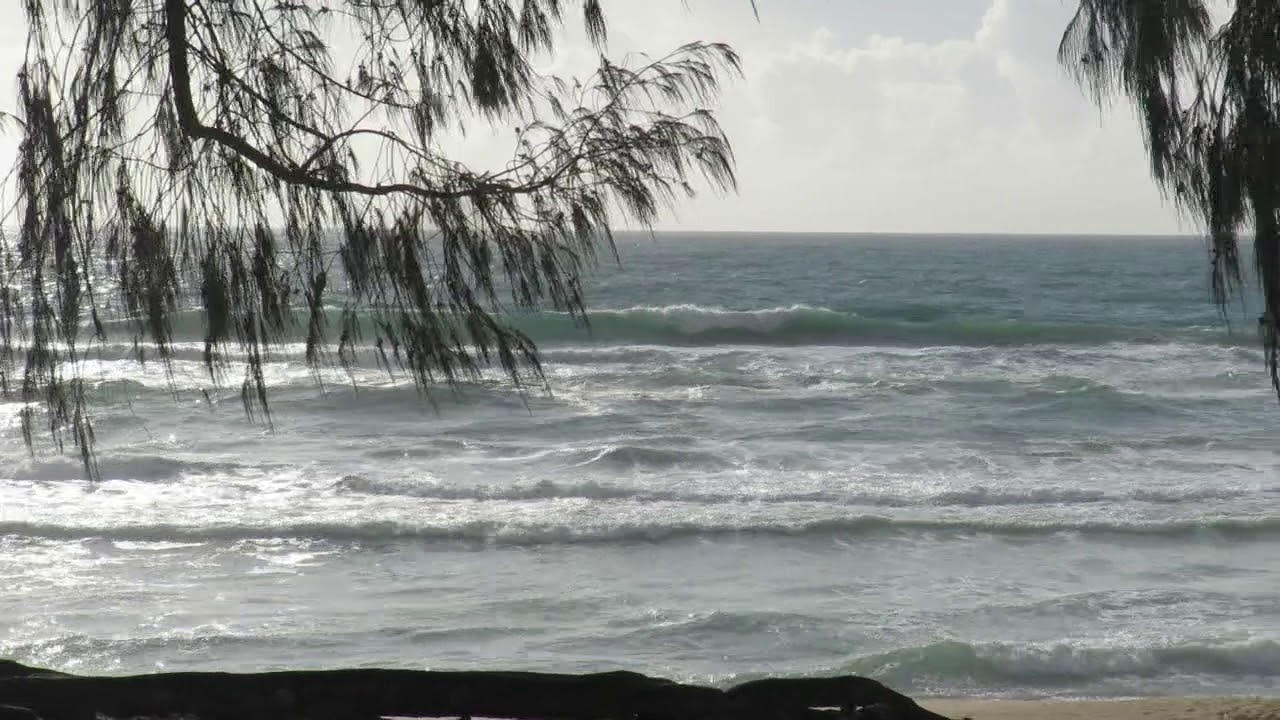 Praia do Moçambique 7 Fevereiro 2020 – Boletim das Ondas In Paradise