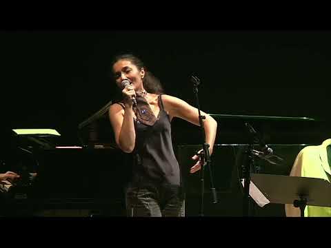 Oiseau de paradis live in Valencia