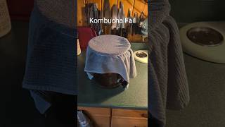 Kombucha Failed… Because I Don’t Have Time for Everything 😅
