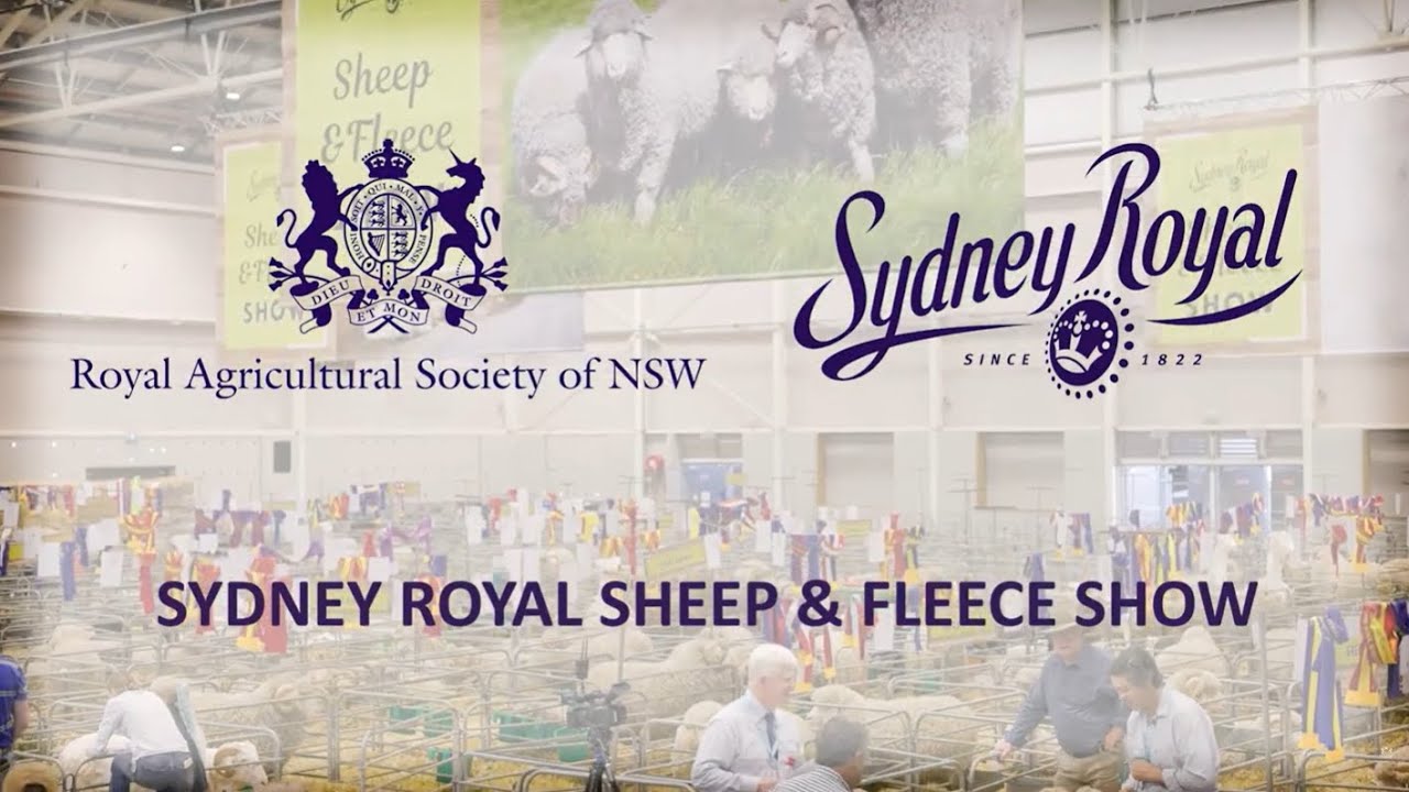 The Sydney Royal Sheep & Fleece Show