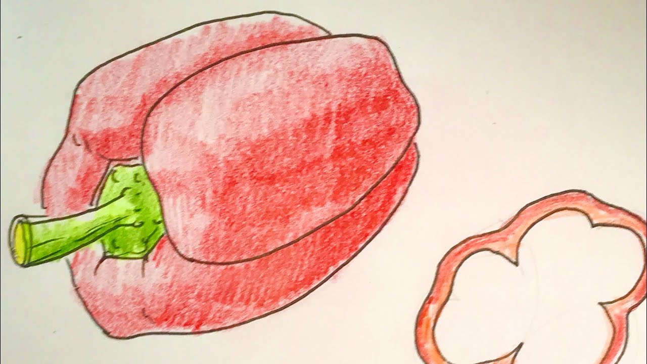 簡単 パプリカの色鉛筆の描き方 イラスト上達 Youtube