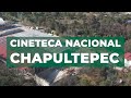 Cineteca nacional chapultepec