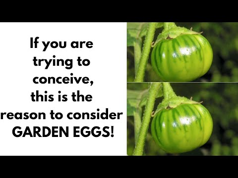 Take Garden Eggs/Egg