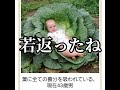 【129.3kg】殿堂入りボケてがマジでツッコミどころ満載だったwww【第141弾】