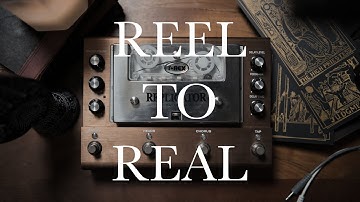 THIS is the BEST TAPE DELAY PEDAL - T-REX REPLICATOR