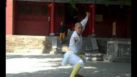 Shifu Heng Wei Tutorial - Wu Bu Quan