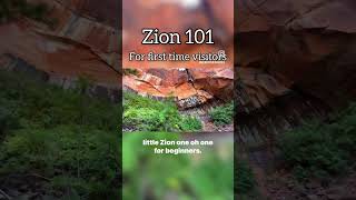 Zion 101