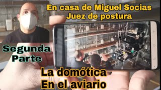 Vicitamos a Miguel Socias juez de postura segunda parte la domótica